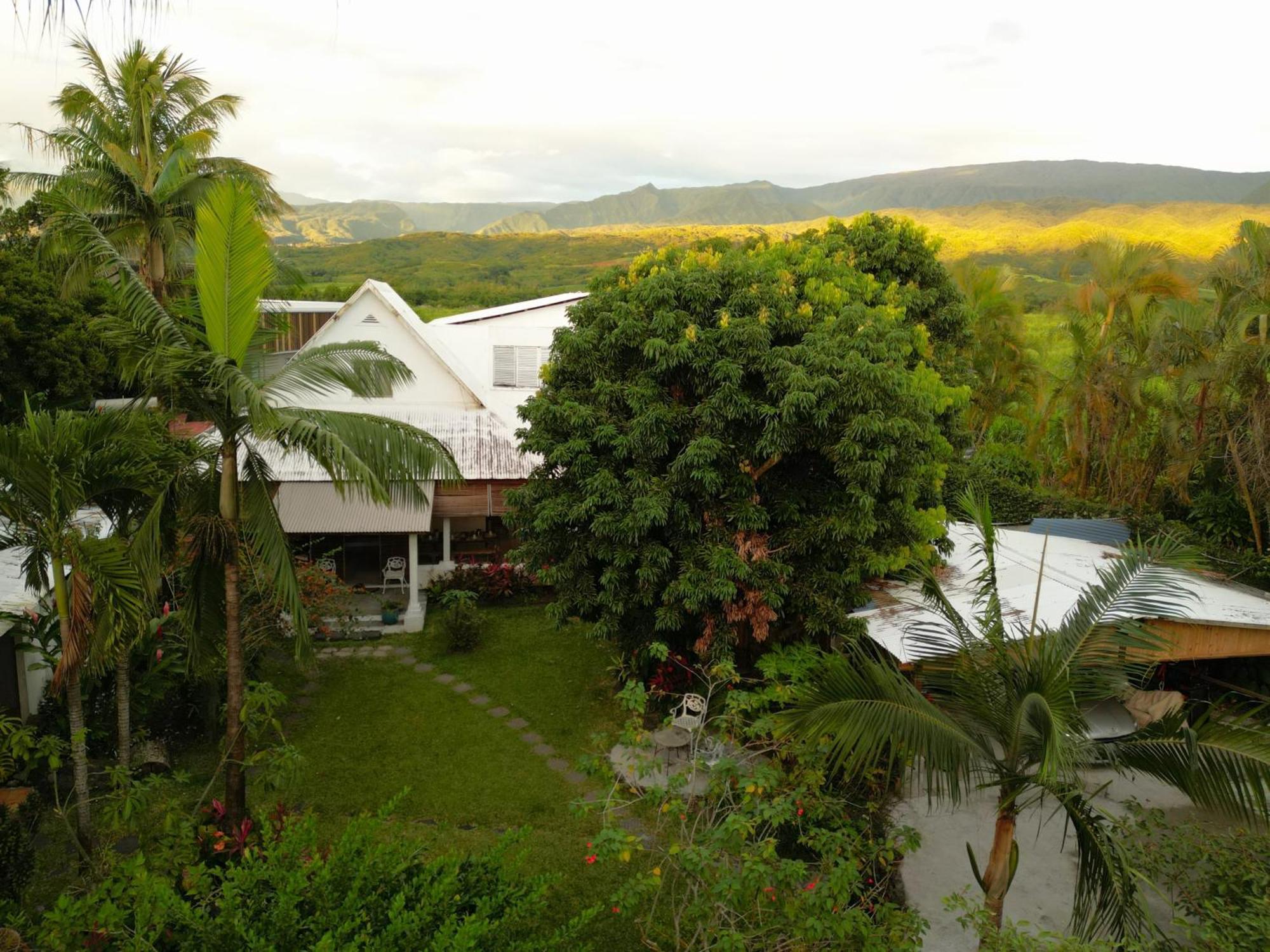 Le Medinilla Acomodação com café da manhã Bras-Panon Exterior foto